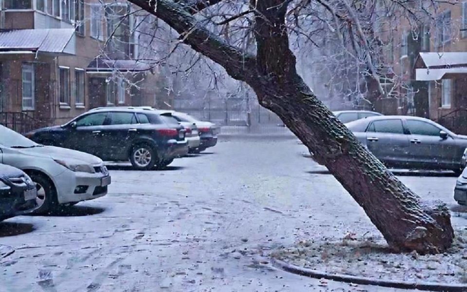 ������ ����� �� ������� � ������������ ������ ��������