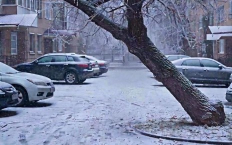 ������ ����� �� ������� � ������������ ������ ��������