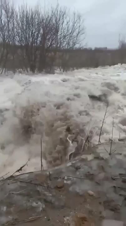 � ����������� ������� ��������� ������ ����� ������� �����