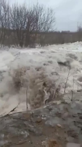 В Воронежской области подтопило посёлок после прорыва дамбы