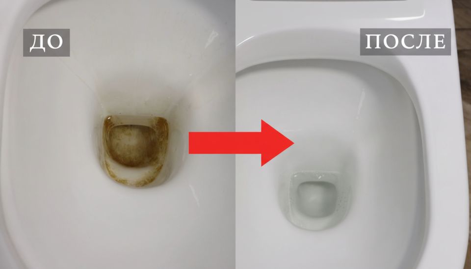 ��� ������ �������� ������ �� �������