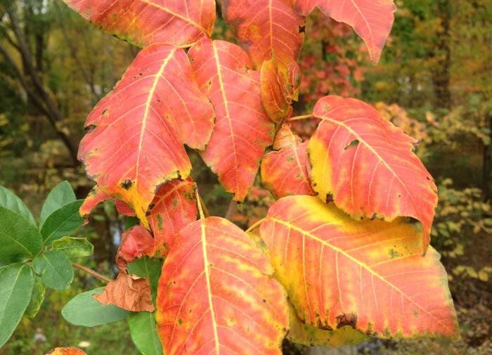 ��� � �������� �����: ��� ��� ���������� � �������� ��������