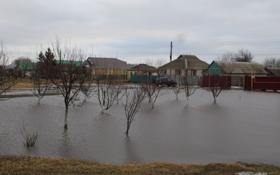 � ������������ ������ ����������� ������� ������� �������� �� ������ ������ � ����� � �����������