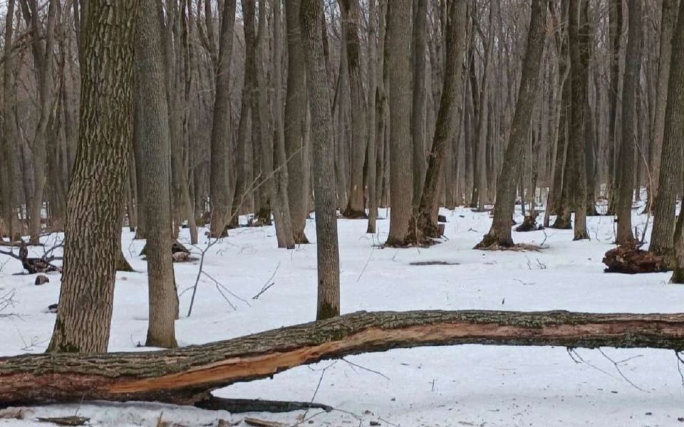 ����������� ��������� �������� 30 ��������� � ��������� ��������