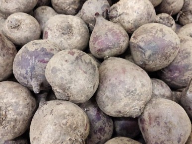 ������ ������� ������: ����� �������� ������� ���������� ��������� � �������