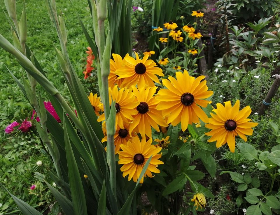 ��������� ��������� � ��������: ��� ������� �������� ��� ���������� ��������