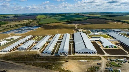 � ����� ���������� ����������� �� �������� ����� ����� ��������