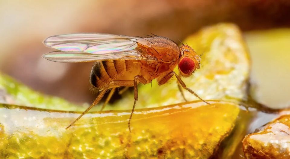 ����� ���� �� ��� � ��� ������, � ����� ���?