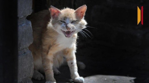 �� ������ 2026 ���� � ����������� ������� ���������������� 6 ������� ���������