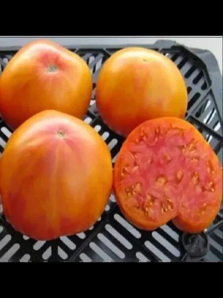 ����� ������ �����: ��� ��������� ������� ������ ����� ������