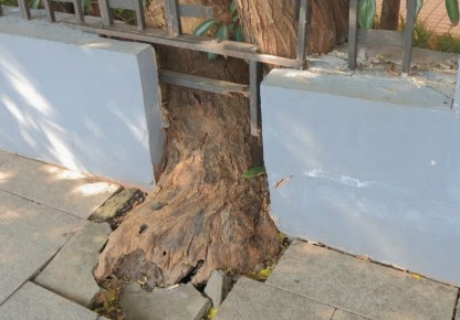 ������� ������� ��� ������ ����: ��� �� ����� ������