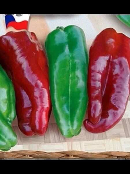 ����� ������: ������� ��������� ����������� �������������� �����