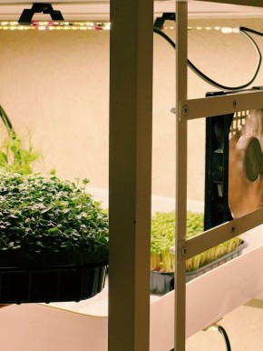 ������ ������ ������ � ������� ����� ������ ������