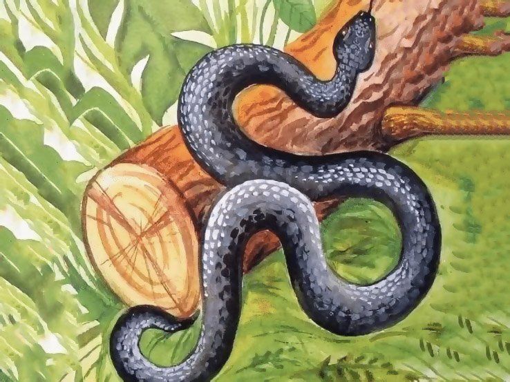 ������� � �������� �������: ������������� � ����