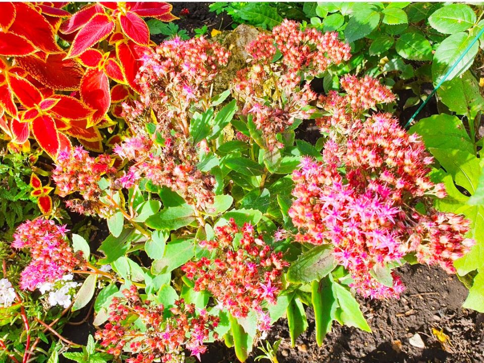 ������� �������� ����: 7 ��������, ������� ���������� �������� � ����� ����