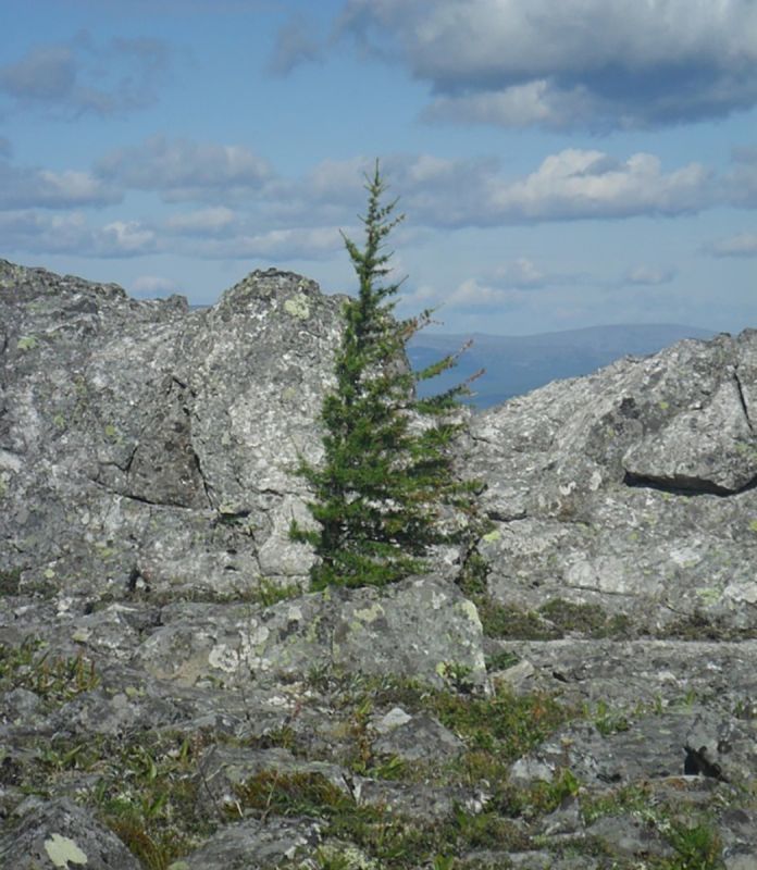 ���������� ��������� ��������� ��� ������ ���������� ���������