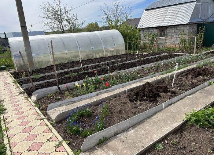 ��� ������ ������ ����� ����� ����� ����������� ���������� �� ����