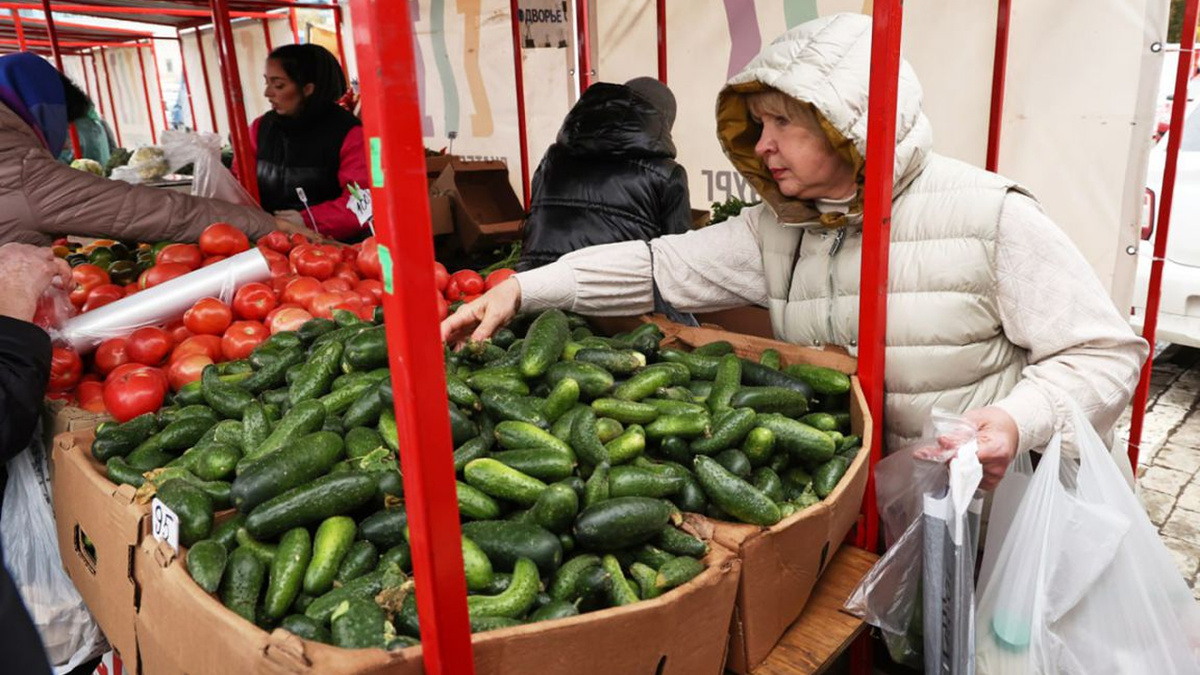 Огурцы под прицелом: реакция ФАС на рост цен на овощи