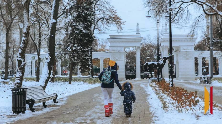 Итоги недели. Что важного произошло в Воронежской области с 16 по 22 февраля