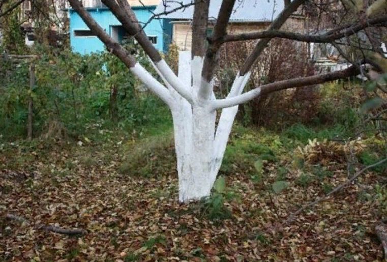 ������������� ������� ��������: ������ ��� ���?