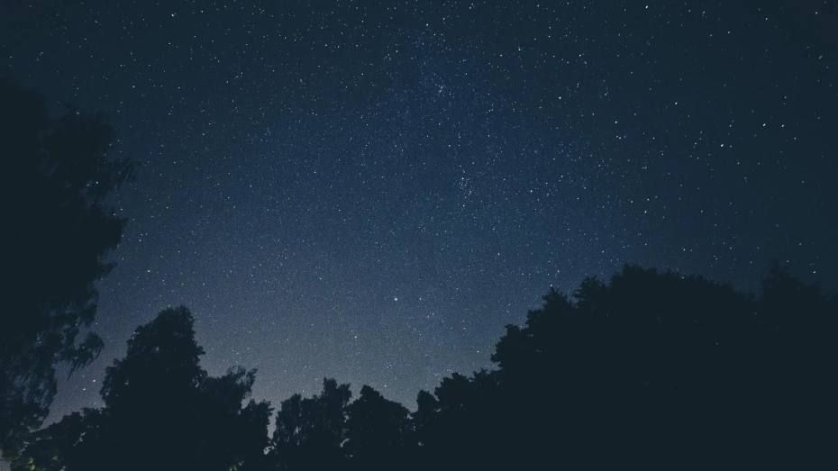 ����� ������ ����� ����� ������� � ���� �� 1 �����