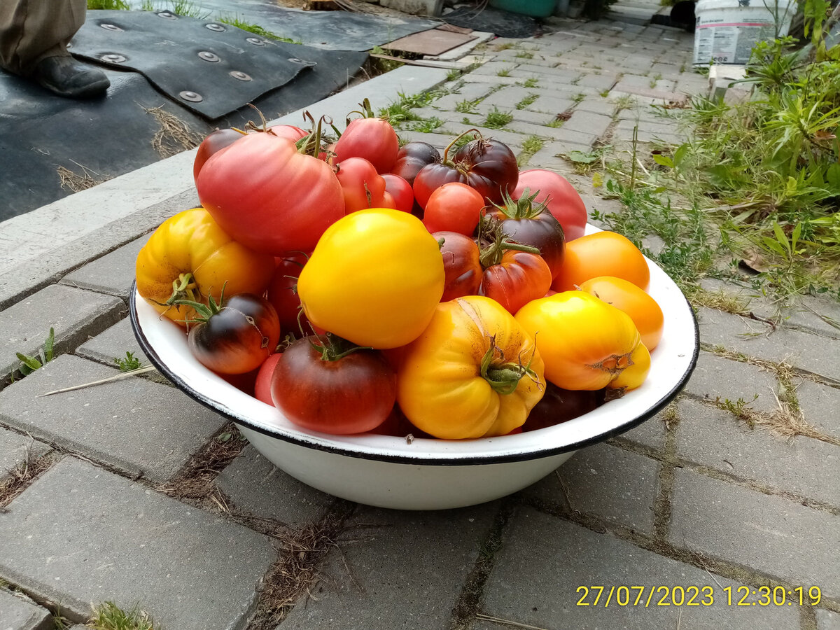 Дзен: поиски золотого ключика к успеху