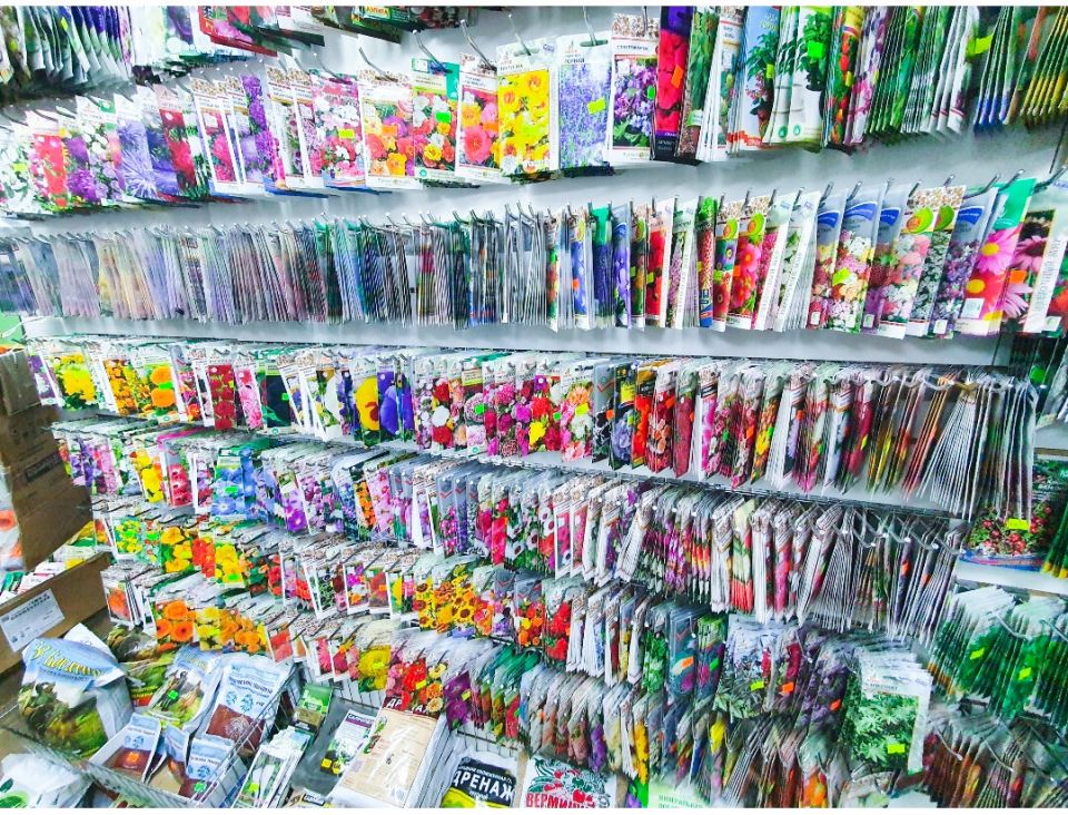 ��� ������� ������������ ������ � ��������: ������ ��� ��������� ����������