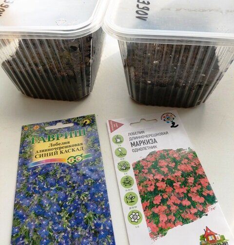 ��� ��������� ��������� ������� �������