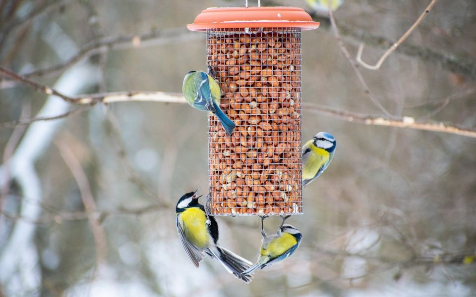 ����� � ������� 7,5 ��� ������ �� ���������� ������� �� ���������� ���������� ������� ��� �������� ��������� �� ��� ������ ������ �������� ����� �������