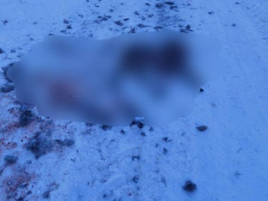 ��������� ������ ���������� ������ � ������� ��� ���������