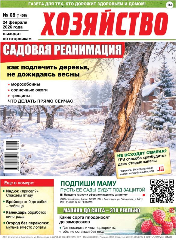 ��� ������� ������ ���� ����?