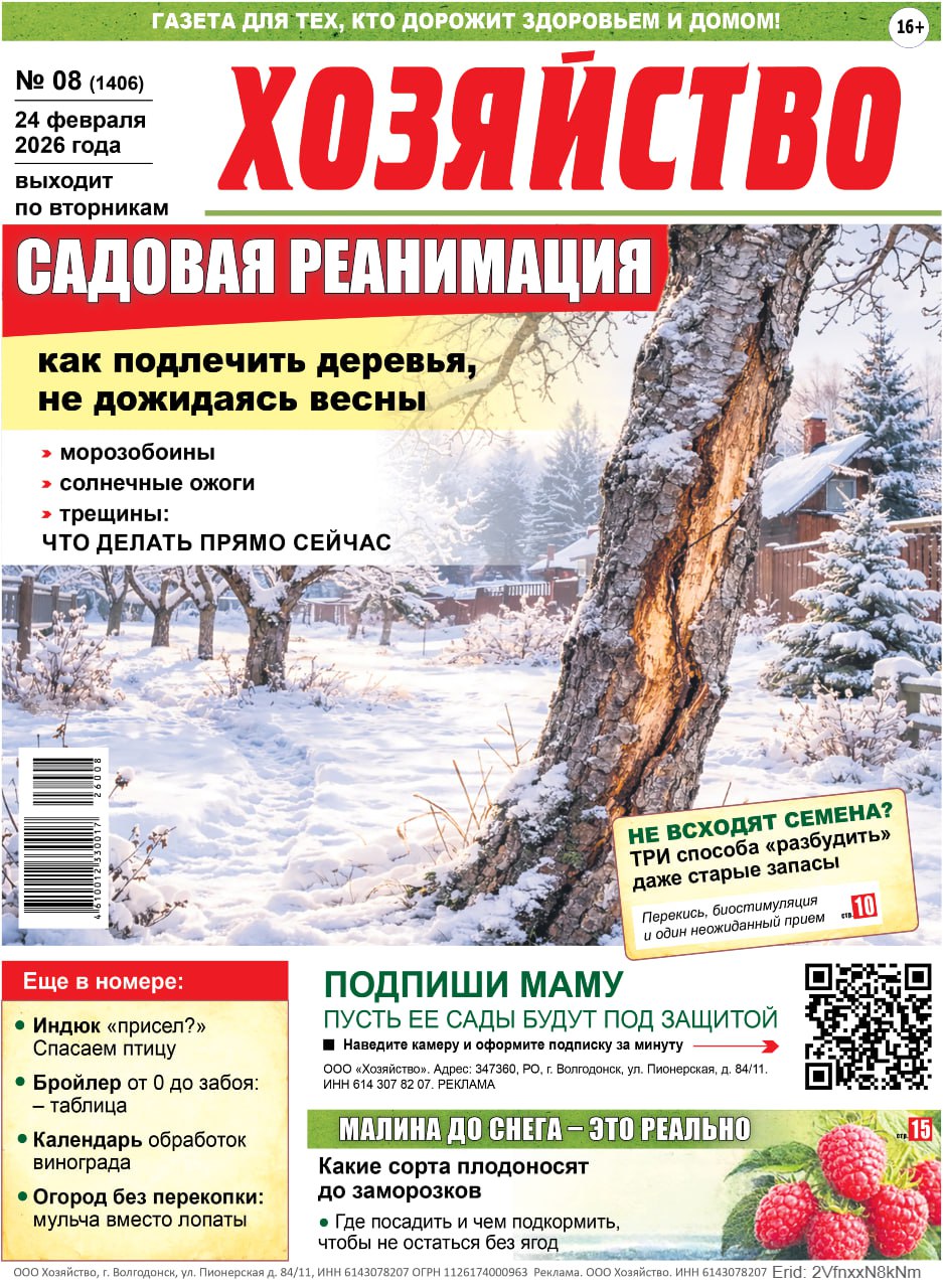 Что сегодня читала твоя мама?