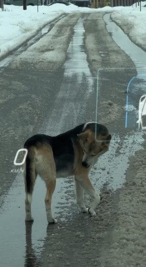 � �������������� ����������� ���������� ������ �� ��������