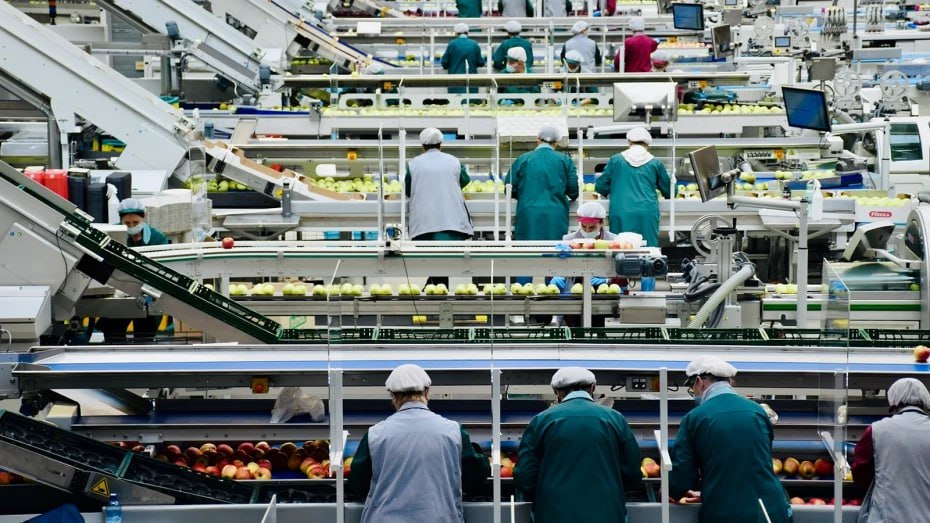 В Новоусманском районе планируют построить кластер для пищевых производств за 200 млн рублей