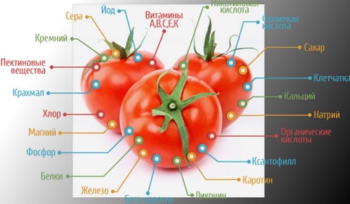 ������� ������� ��������� ���� �� ���� ��� ��������� ���������������