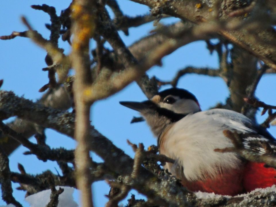 � ����������� ������� �������� ���� ���������� � ������ ����