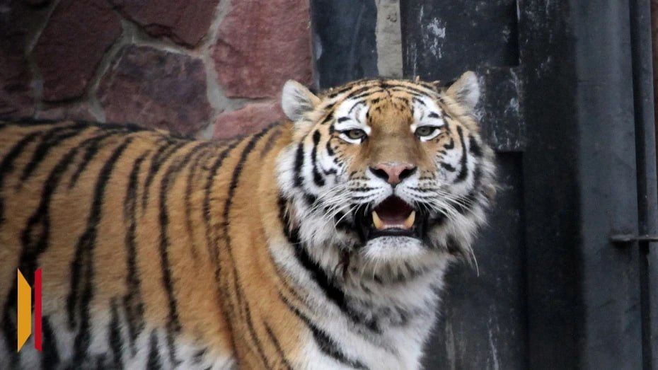 ������� �������� ������� ����� �� ������������ �������� ���������� � �����-���������