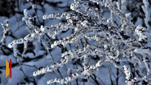 � ����������� ������� ���� ���������� 12-��������� �������