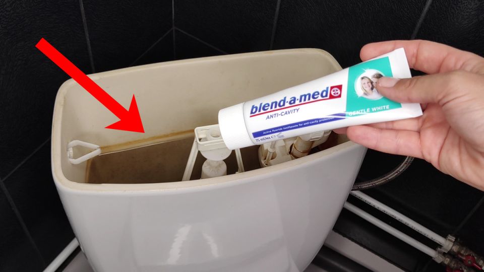 ��� ������ ����� �������� ������������ ������� �������