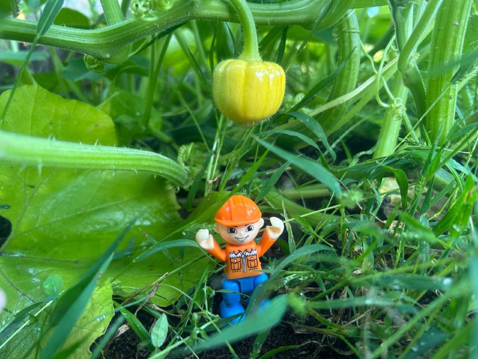 ������ ������� �� ����� � ��� ��� ���� � ������ ��������