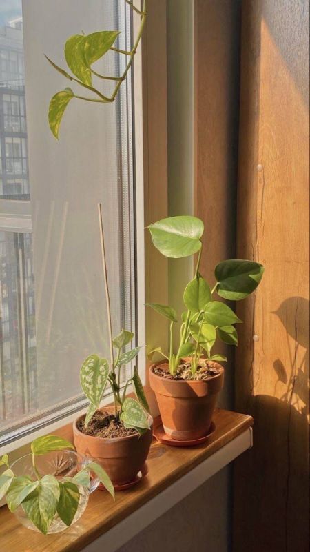 ������������ ���� � ��������� ���������: ������ � �������� ������