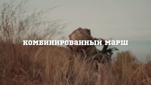 Воронежских школьников и студентов пригласили на военно-патриотическую игру «Зарница 2.0»