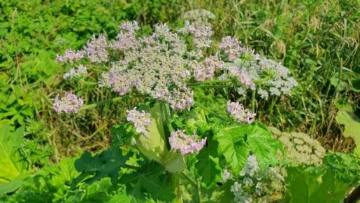 ����������� �������� ������ ������� ������ �� ������� �������� �� �������� � 1 �����