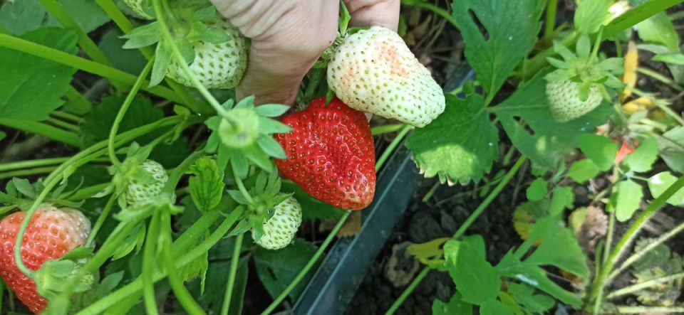 �������� ���� �� ���������: ��� �������� ����� ����� � �������� �������� ������