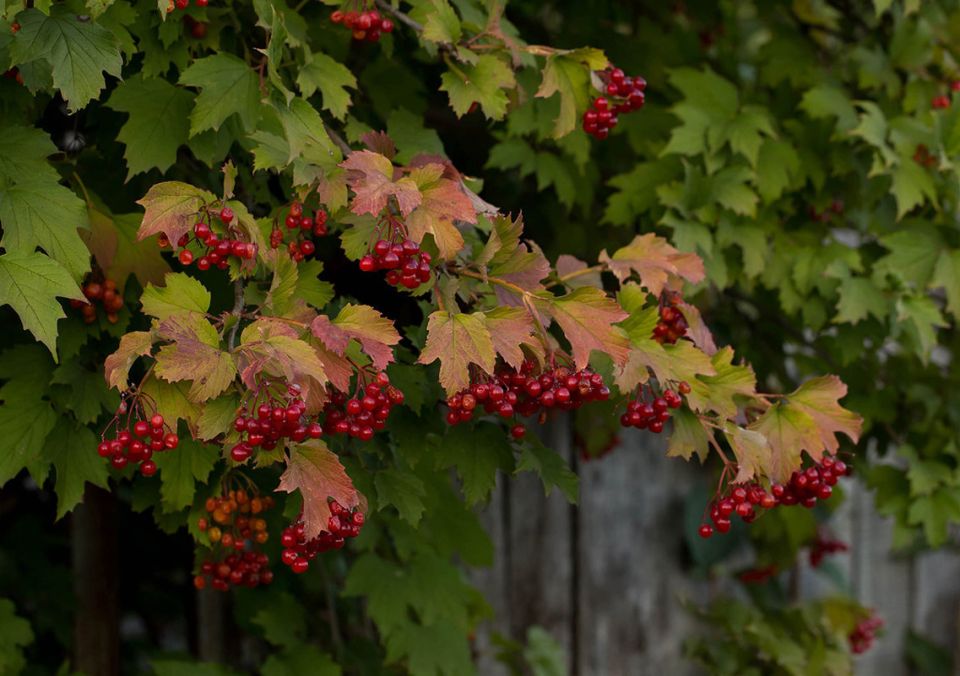 ��� �������� ����� � �����: �������� ������� � �� ��������