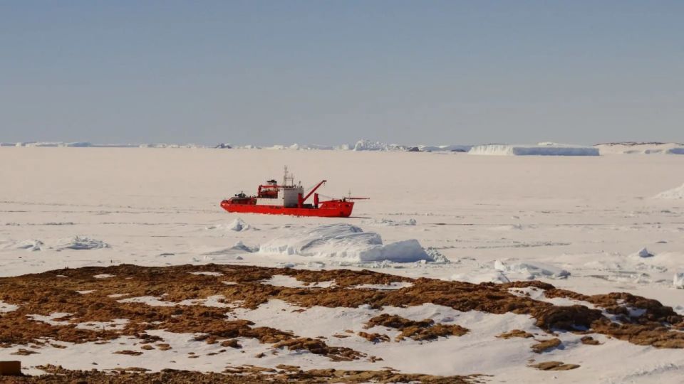 ��������� ������ ����� ����������� �� ���������� � ����������