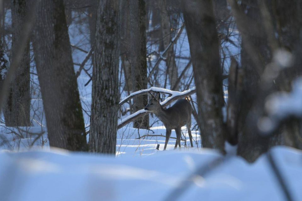 � ����������� ����������� ����������, ��� �������� �������� �������� �� ������