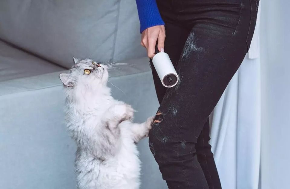 ����������� ������� �������� ������ �������� ��� ������