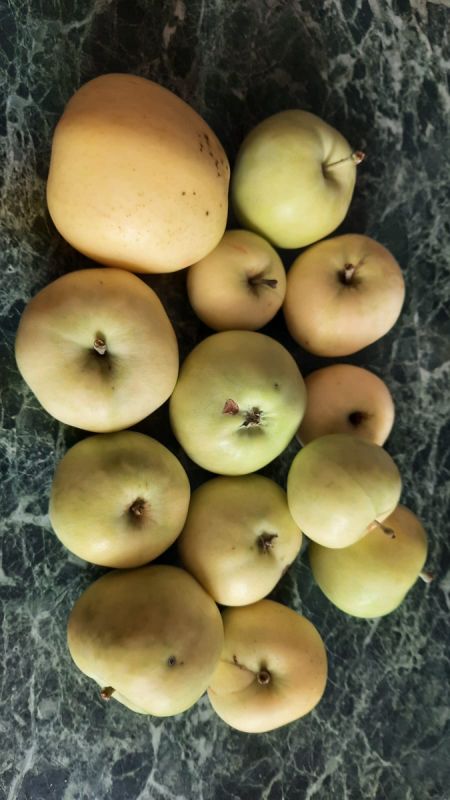 ��������� ���� ������, ������������ � ����