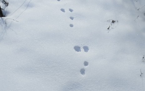 ����� �������� ����������� ������� �������� �������� � ��������� �����������